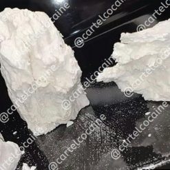 COCAINE VENEZUELA